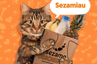 Pisicile domină achizițiile din pet shop-ul supermarketului online Sezamo, reprezentând 77% din vânzările categoriei